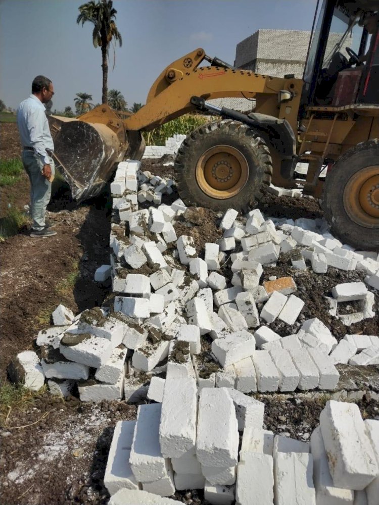 ازالة ١٥٩ حالة تعدي علي املاك الدولة والاراضي الزراعية بالمنيا