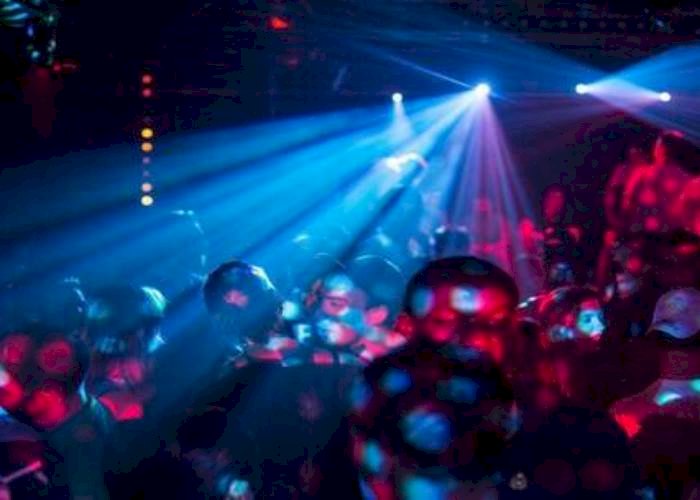 القبض على صوفيا لورين في الجيزة