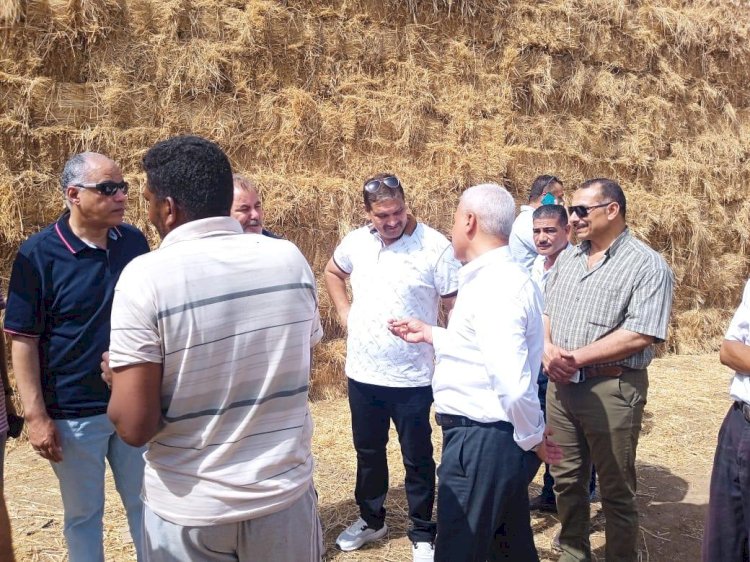 الزراعة والبيئة يكافحان السحابة السوداء بالشرقية