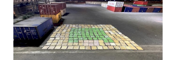 ضبط" شحنة مخدرات" قبل دخولها البلاد لصالح شركة تصدير واستيراد بالدقهلية