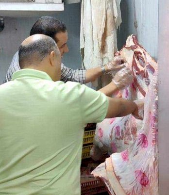 بيطري المنيا: تحرير80 محضرا وضبط طن لحوم غير صالحة