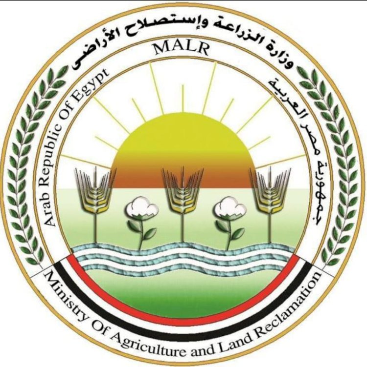 تحذير  لاتتعاملوا مع شركات بيع الاراضي الوهمية