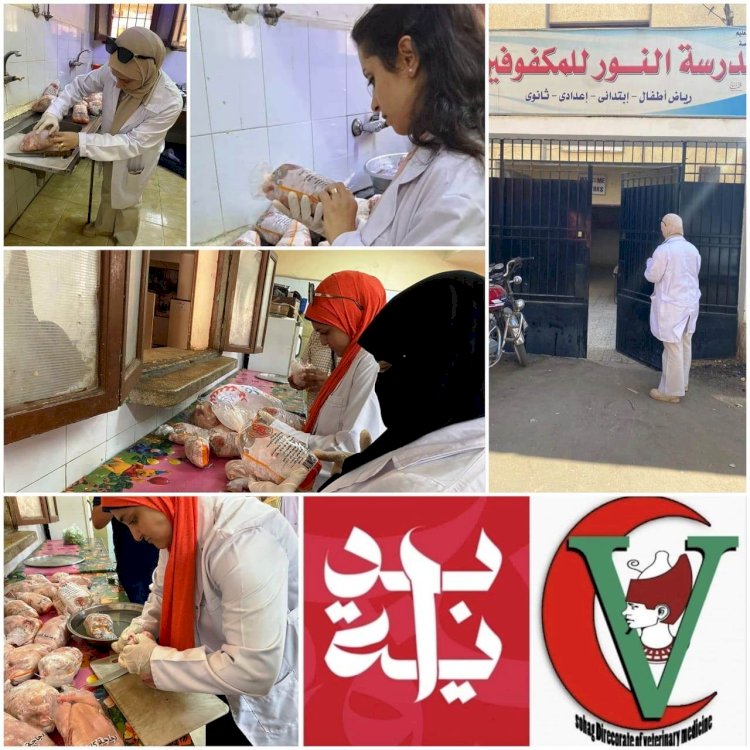 "بداية" تواصل فعالياتها لليوم "١٢"بسوهاج