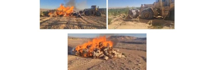 ضبط ٤ فدادين بانجو بالجيزة