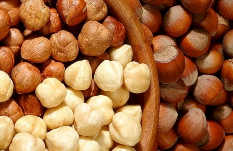 دراسة هامة: أكل حبتين من البندق أحد أهم أسباب إنقاص الوزن للنساء