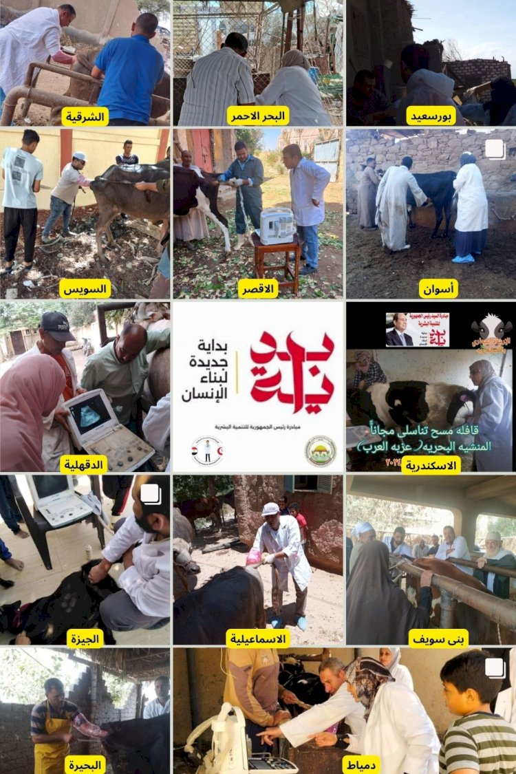 الزراعة: جهود مكثفة للخدمات البيطرية في تحسين السلالات وزيادة الانتاجية في الثروة الحيوانية
