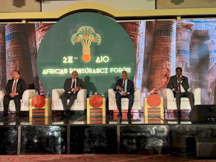 د.محمد فريد يلقي الكلمة الرئيسية للملتقى الإفريقي الـ 28 لإعادة التأمين