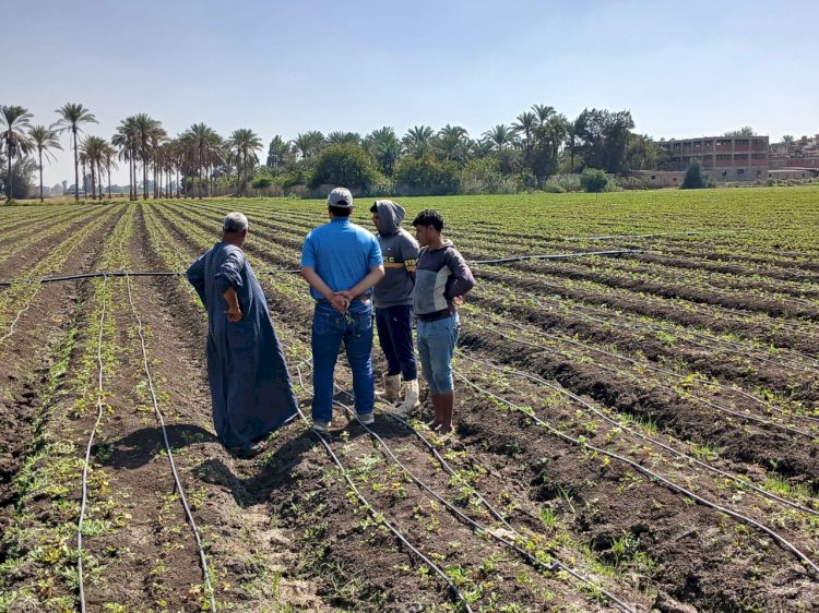 الزراعة تستعرض تقريرا بابرز انشطة الارشاد الزراعي