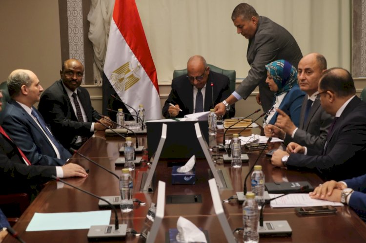 اتفاقية بين الكهرباء المصريةوالجيبوتية لتركيب محطة كهرباء بالخلايا الفو توفلطية