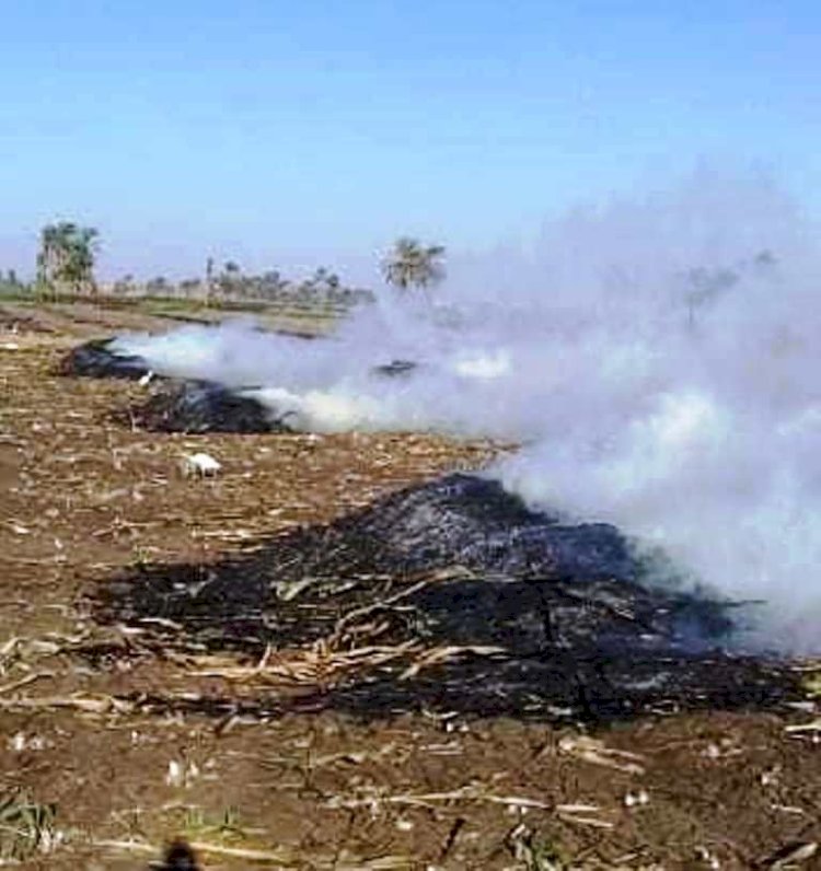 تحرير ٦٨ محضر مخالفة بيئية لحرق المخلفات الزراعية بسوهاج