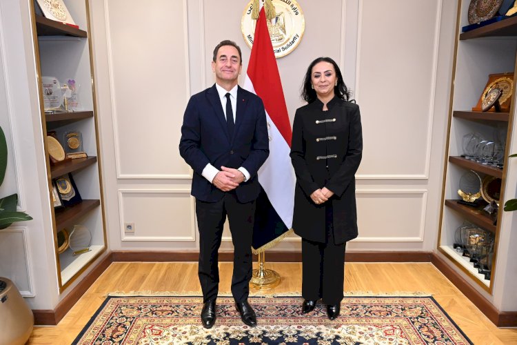 "مايا مرسي" تلتقي السفير الفرنسي بالقاهرة