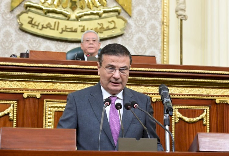 وزير الزراعة يستعرض امام مجلس النواب التوسع في انتاج التقاوي المعتمدة