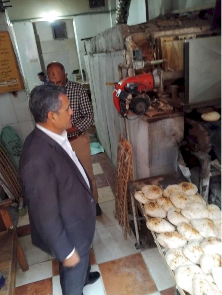 محافظ المنيا: ضبط 227 مخالفة تموينية و160 اسطوانة بوتاجاز خلال حملات تفتيشية