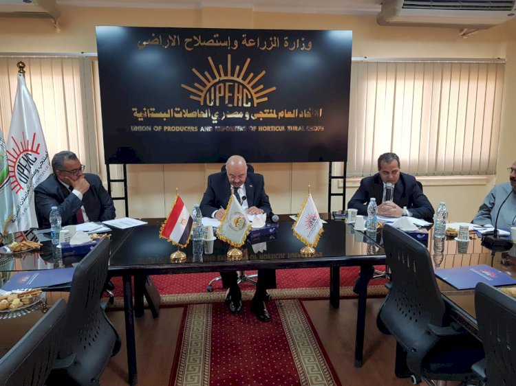 الزراعة:مصر الاولي في انتاج الزيتون