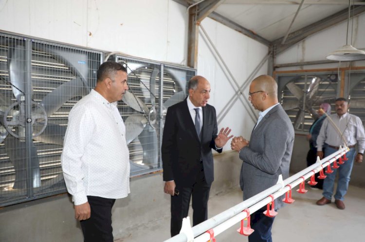 محافظ المنيا يتفقد مشروعات تسمين الدواجن والمجزر الآلي بالمنطقة الصناعية