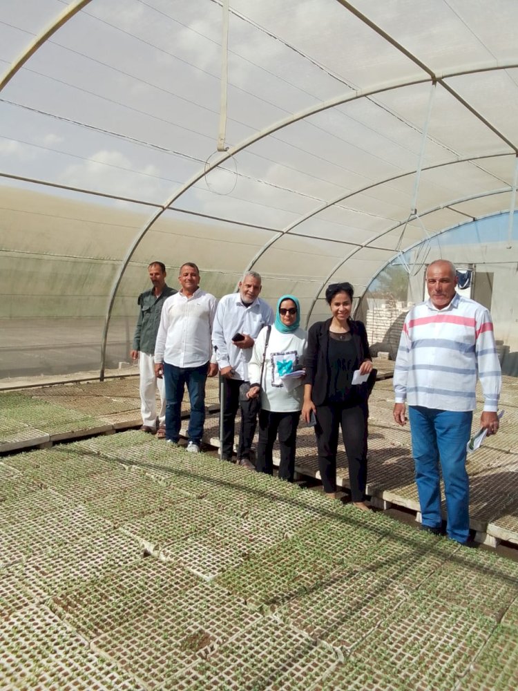 "الزراعة" تواصل متابعة مشاتل الخضر بالمحافظات