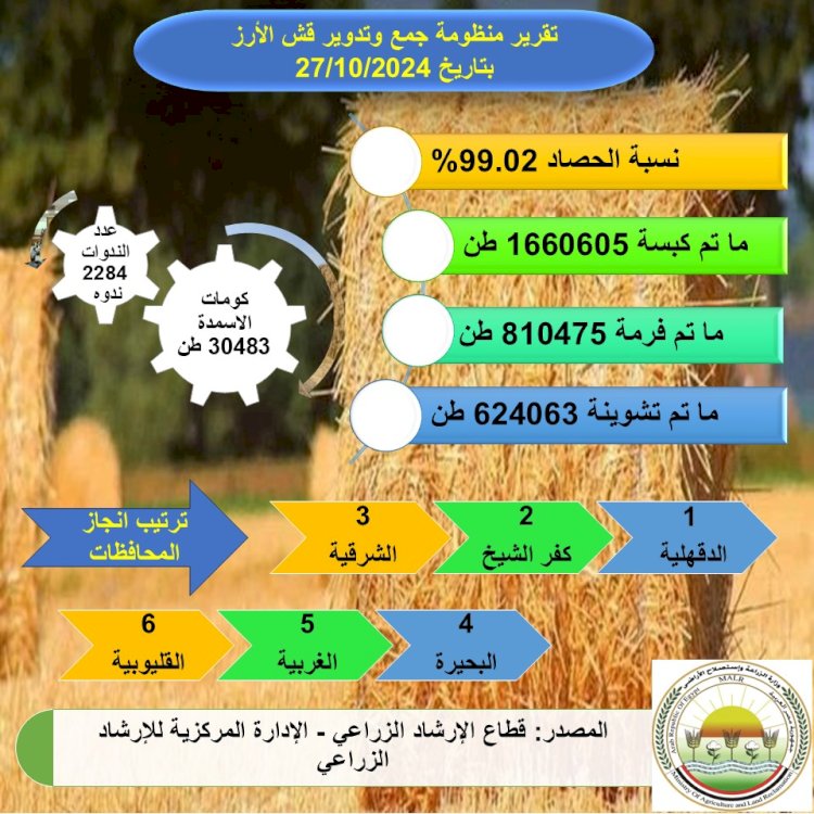 حصاد ٩٩% من المساحات المنزرعة ارز