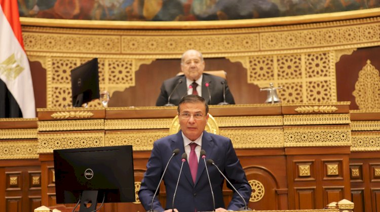 فاروق أمام مجلس الشيوخ يستعرض التوسع الأفقى لزيادة الرقعة الزراعية