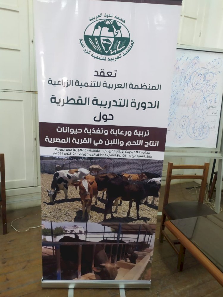 دورة تدريبية حول تربية حيوانات انتاج اللحم واللبن فى القرية