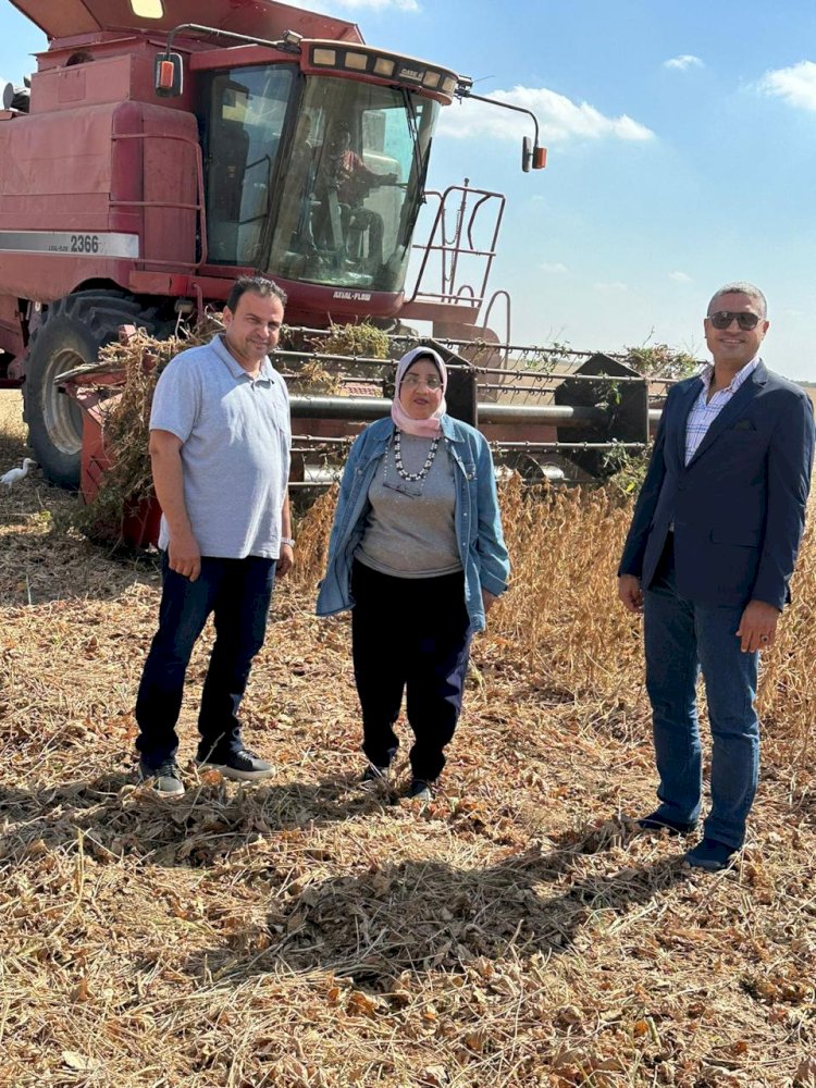 الزراعة تشارك  القطاع الخاص حصاد الفول الصويا ضمن منظومة تفعيل الزراعة التعاقدية للمحاصيل الاستراتيجية