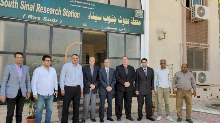 حصاد انشطة  بحوث الصحراءأكتوبر الماضي