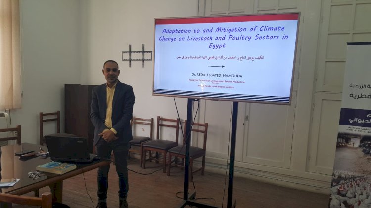 "بحوث الإنتاج الحيواني" ينظم دورة تدريبية بالتعاون مع المنظمة العربية