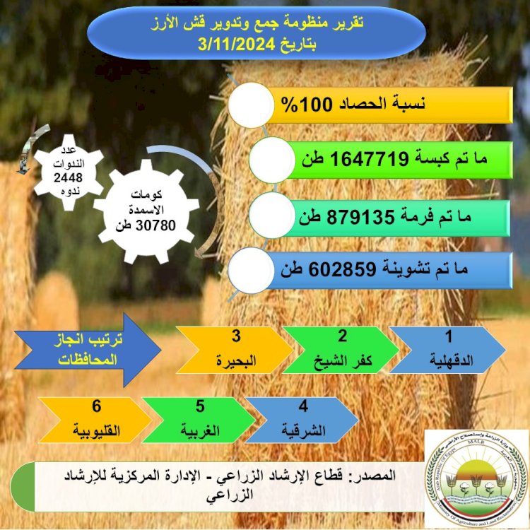 "الزراعة" تعلن انتهاء موسم حصاد الأرز