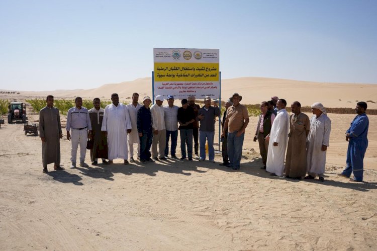 "بحوث الصحراء" وأكساد يطلقان مشروع تثبيت الكثبان الرملية لمجابهة التغيرات المناخية بسيوة