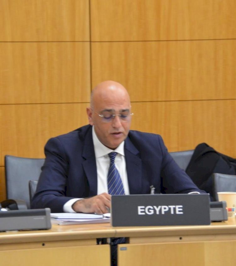 القيادة السياسية توفر كل الدعم لقطاع المشروعات