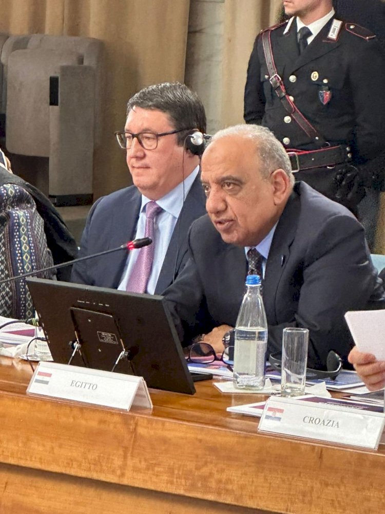 عصمت امام مجموعة الطاقة الاندماجية   عصمت: مصر لديها استراتيجية تقوم على مصادر الطاقة المتجددة النظيفة