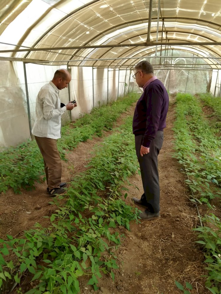 الزراعة: المركزية لمكافحة الآفات تستعد لموسم الزراعات الشتوي