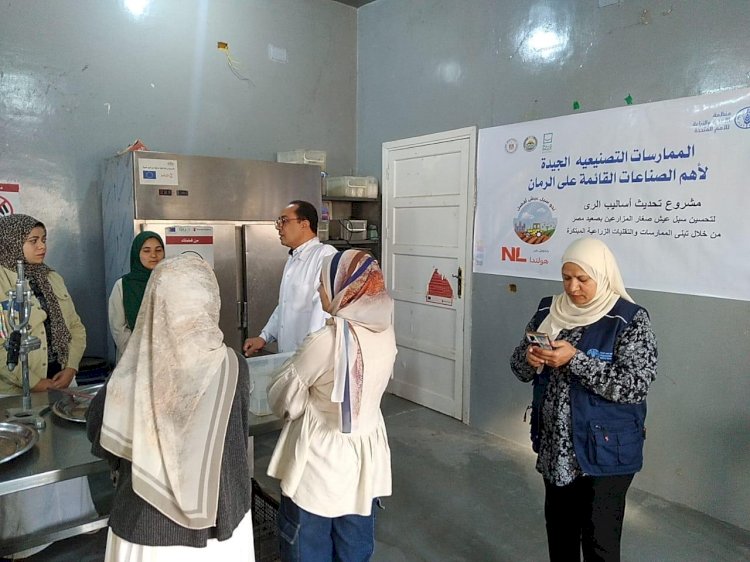 تكنولوجيا الأغذية والفاو ينفذان برنامج تدريبى  لأهم الصناعات التحويلية القائمة على الرمان