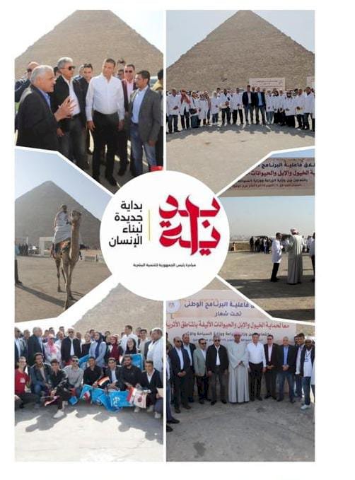 الزراعة "الخدمات البيطرية" تعالج وتفحص أكثر من 350 ألف رأس ماشية