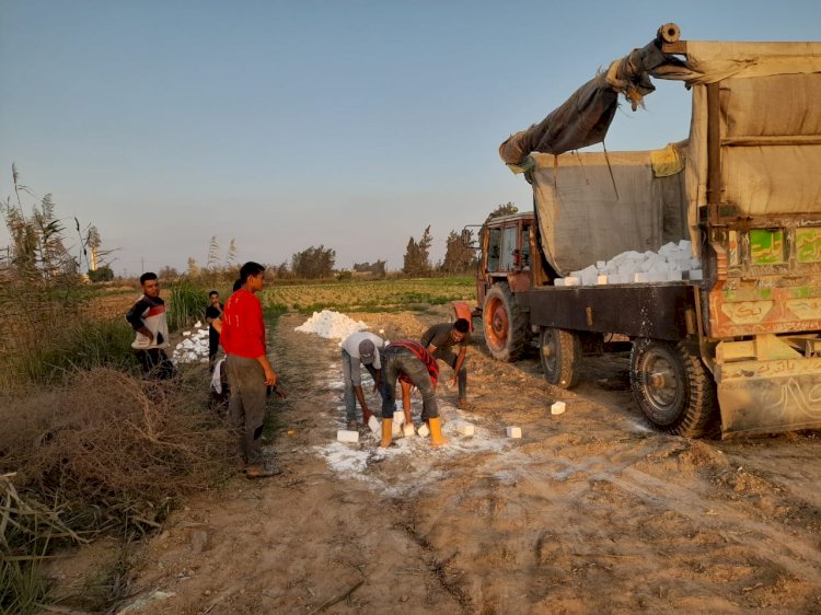 "استصلاح الأراضي" يشن حملات لإزالة التعديات على أراضي قرى المراقبات التابعة له