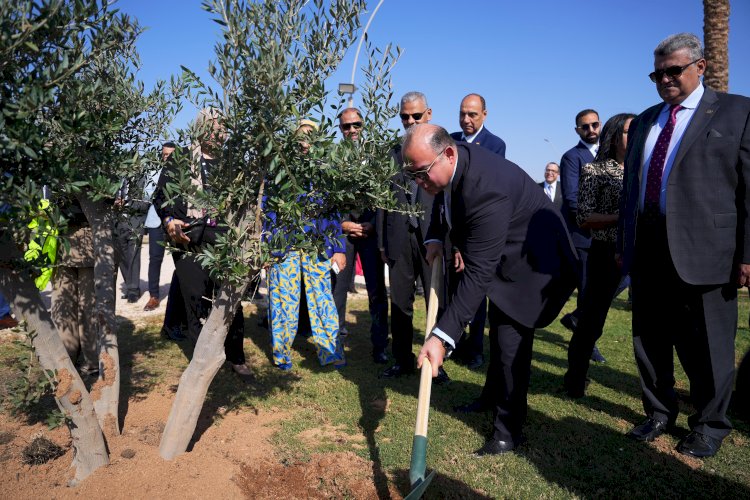 رئيس الرقابة المالية وقيادات قطاع التأمين يزرعون مجموعة أشجار بشرم الشيخ كمساهمة في خفض الانبعاثات الكربونية