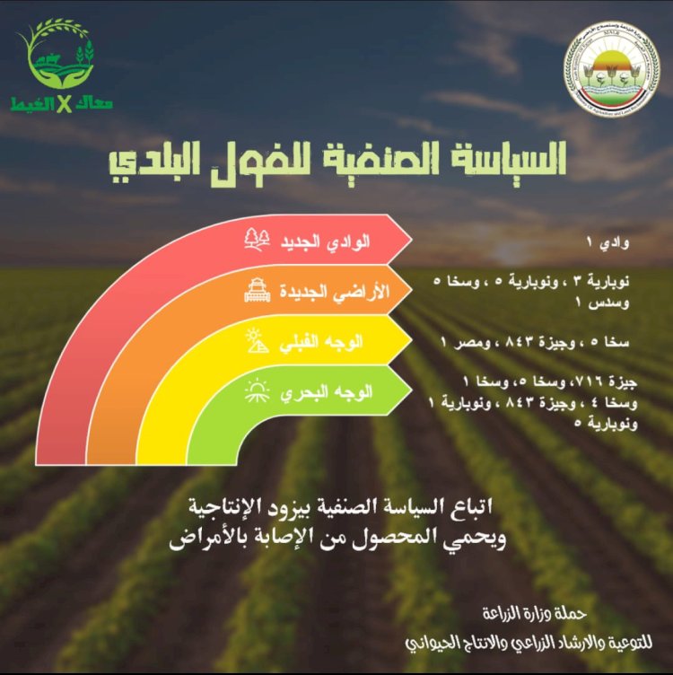 “معاك في الغيط” تنشر فيديو لتوعية المزارعين بأهمية ومعاملات زراعة الفول البلدي
