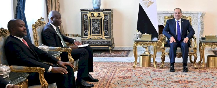 السيسي يستقبل وزير العلاقات الدولية والتعاون الدولي بجنوب أفريقيا