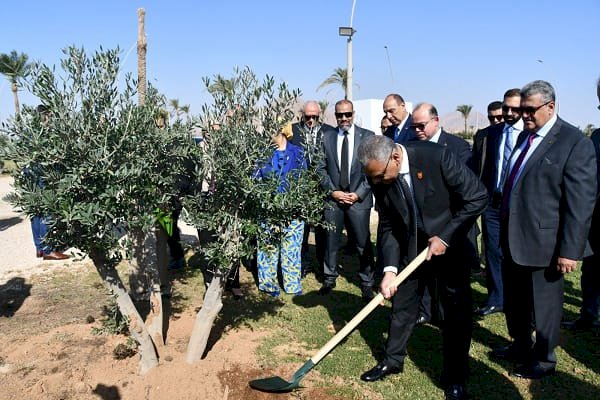 Go Green| المهندس للتأمين.. الاتجاه الأمثل للاقتصاد الأخضر