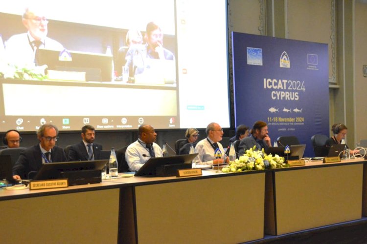 جهاز حماية وتنمية البحيرات "مصر تحصل على حصة من أسماك أبو سيف بالبحر المتوسط