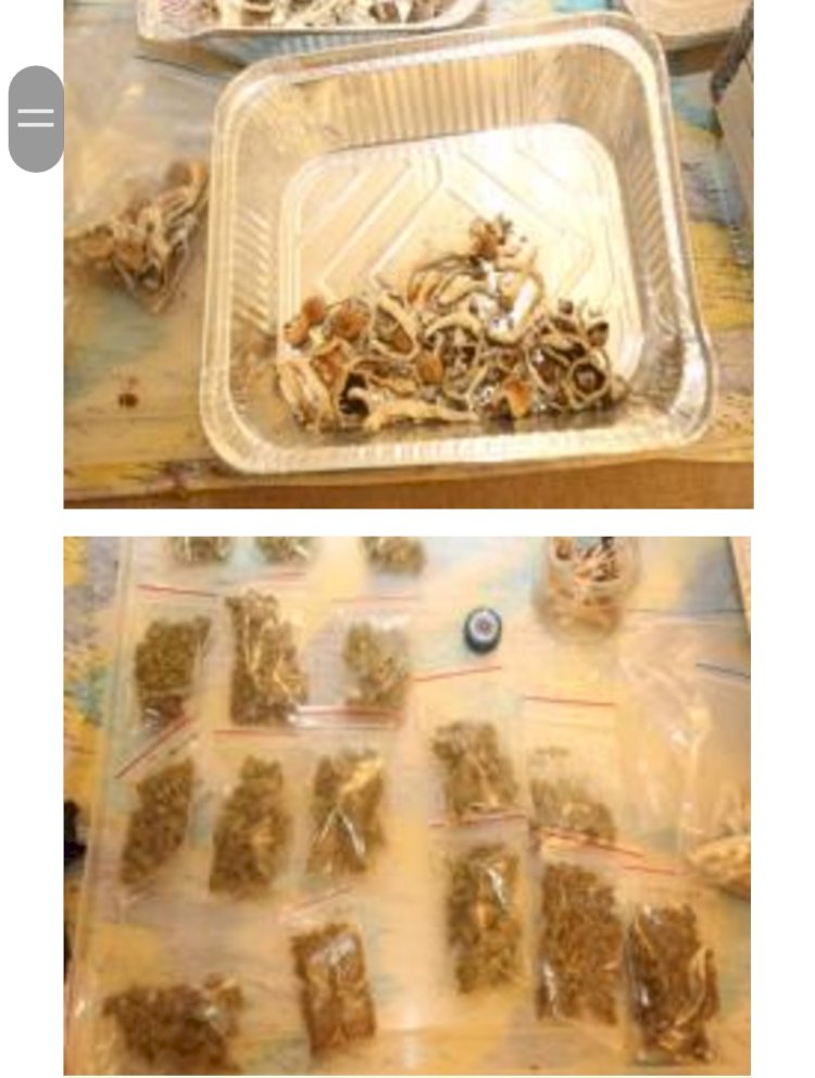 ضبط كميات من  المواد المخدرة المستحدثة " الماجيك مشروم" بالقاهرة 