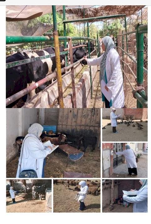 "الخدمات البيطرية"تكثف جهودها للتقصي الوبائي ضمن مبادرة 'بداية'