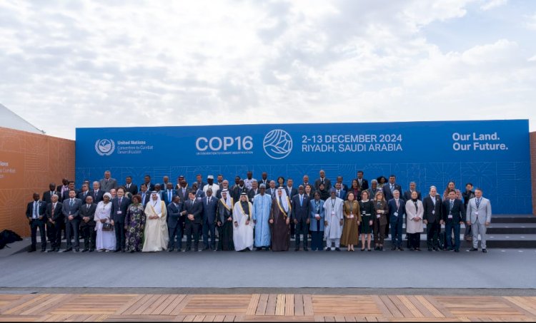 فاروق امام "كوب ١٦"مصر حريصة على تنفيذ المعاهدات البيئية العالمية