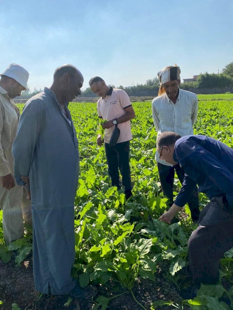 البحوث الزراعية يستعرض أنشطتة نوفمبر 2024