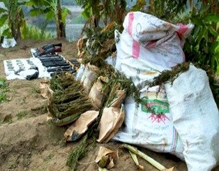 ضبط ١٢٥ طن مخدرات ومصرع ٣ تجار في تبادل اطلاق النار مع الشرطة