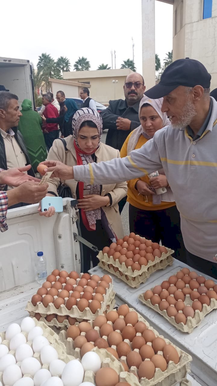 "الزراعة" تواصل قوافل المنافذ المتحركة وتطوير الجمعيات وإزالة التعديات بالمحافظات