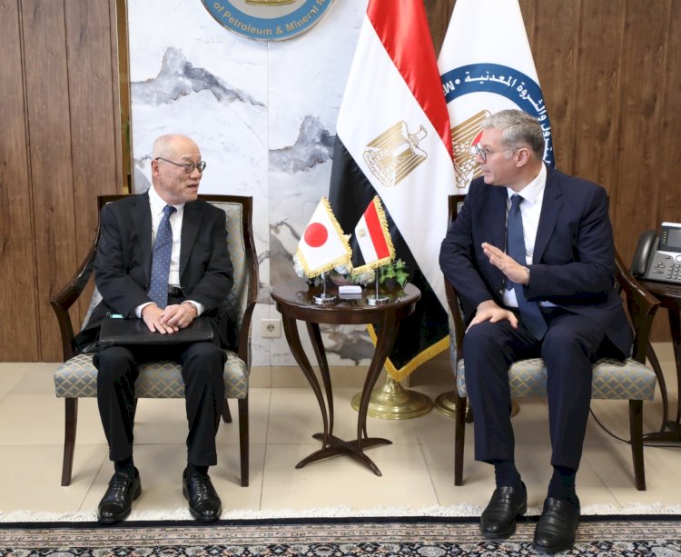 بدوي و ايواي يدرسان التعاون  فى مجالات البترول والطاقة الخضراء