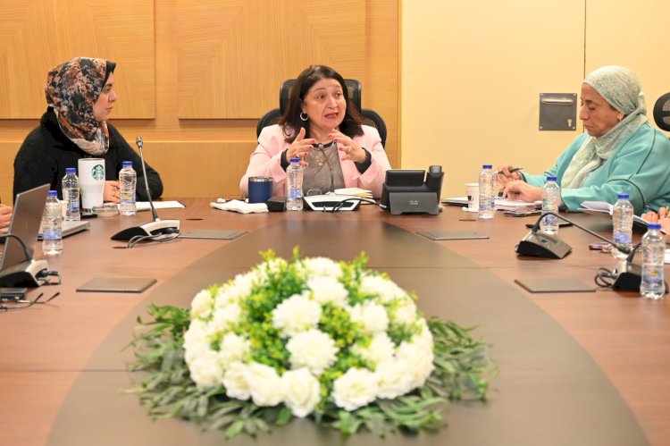 نائبة وزيرة التضامن  تلتقي مدير مشروع EOSD