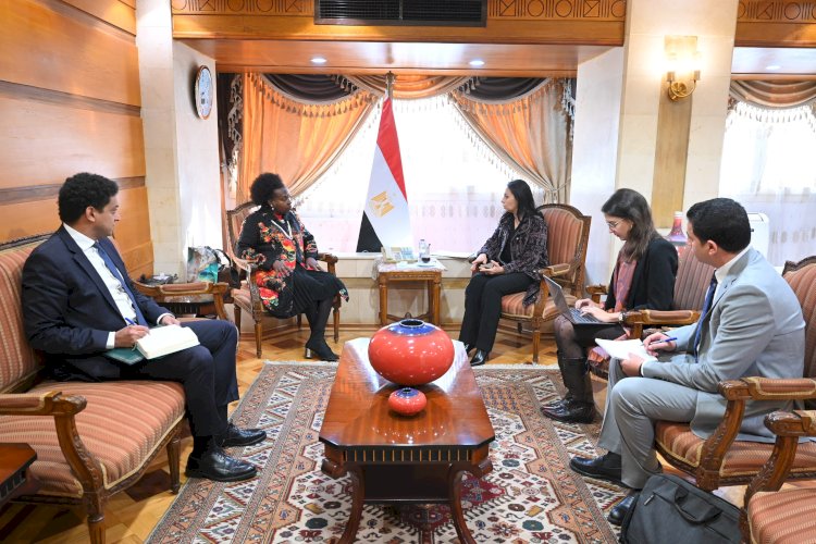 "مايا تلتقي اوجانا" المعنية بملف مصر باللجنة الأفريقية