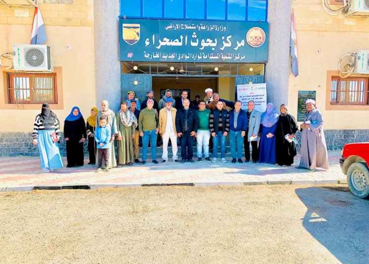 بحوث الصحراء ينظم أيام حقلية لمكافحة آفات المحاصيل الحقلية والخضر لمزارعي الوادي الجديد