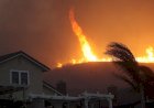  6 وفيات جراء حرائق الغابات في الجزائر